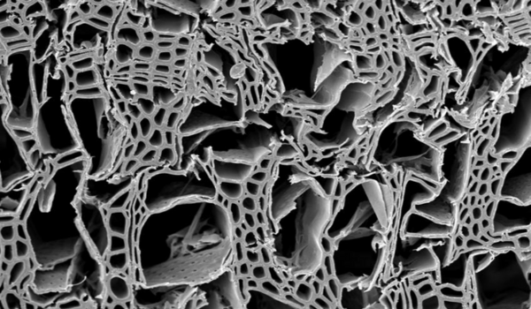 The microporous structure of oil-based activated carbon