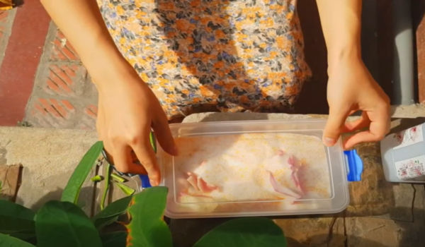 Seal the container containing silica gel and flowers