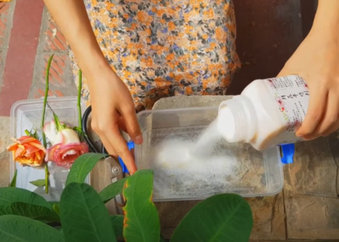 Pour silica gel into the bottom of the box